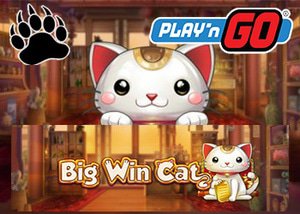 playngo casinos new big win cat